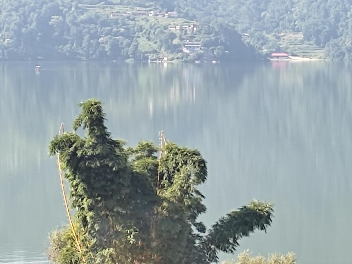 Hotel Green Hill View 博卡拉 外观 照片