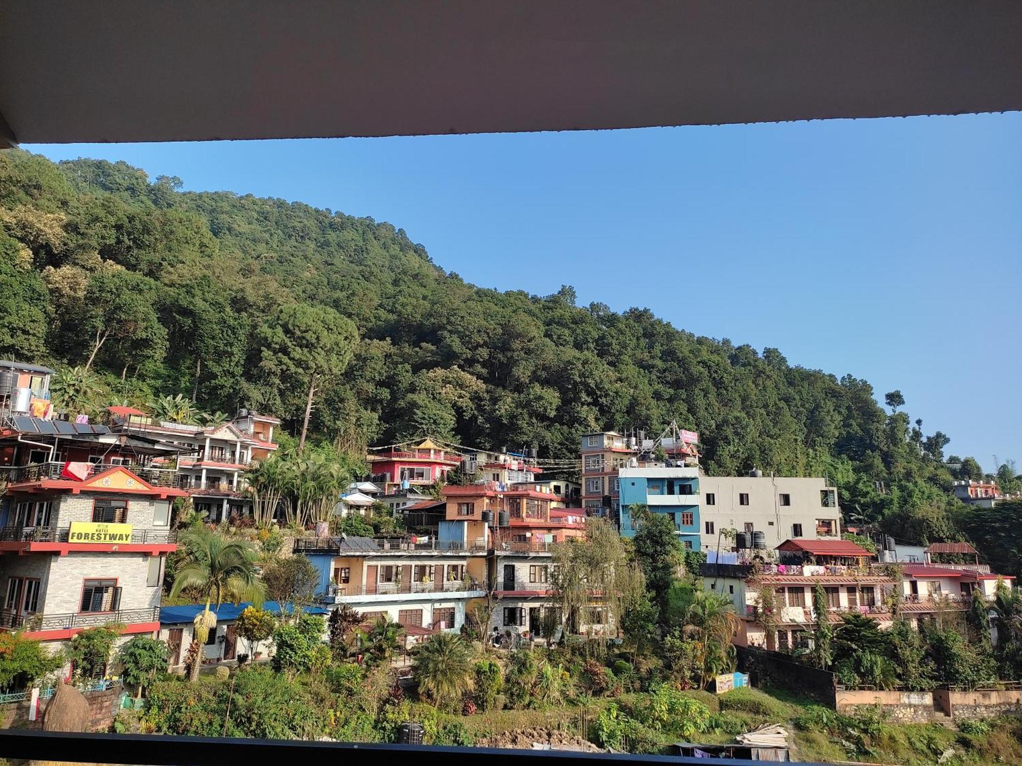 Hotel Green Hill View 博卡拉 客房 照片