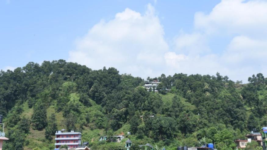 Hotel Green Hill View 博卡拉 外观 照片